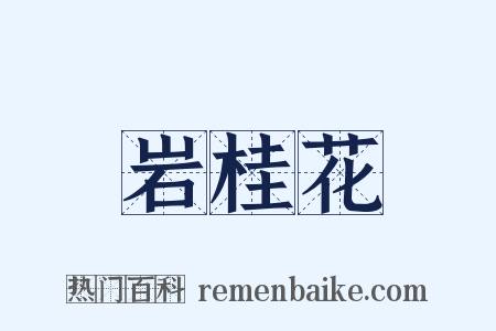 岩桂花是什么意思的图片